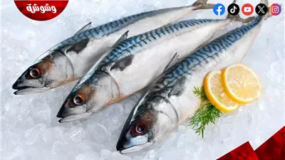 تعرف على أسعار الأسماك فى الأسواق اليوم السبت