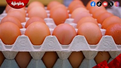 رئيس شعبة الدواجن يكشف تفاصيل جديدة عن أزمة ارتفاع أسعار البيض‎