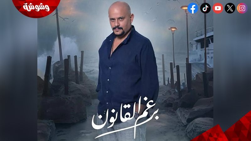 شادى مقار