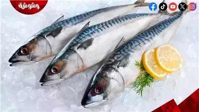 تعرف على أسعار الأسماك فى الأسواق اليوم الخميس