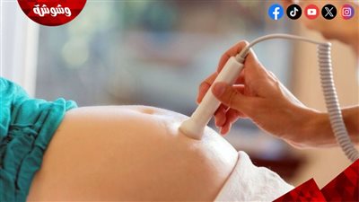  ما الذي يضر بخصوبة المرأة؟ علماء يوضحون
