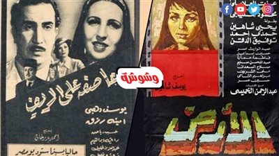 فى يوم الحد من الكوراث.. السينما المصرية من الشاشة إلي الواقع