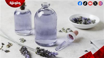 زيت اللافندر له تأثير قوي مضاد للفطريات