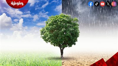 وزير الزراعة يوضح إجراءات التكيف مع التغيرات المناخية‎