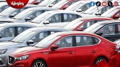 هل يتراجع حجم استيراد السيارات في مصر؟ رئيس الرابطة يجيب‎