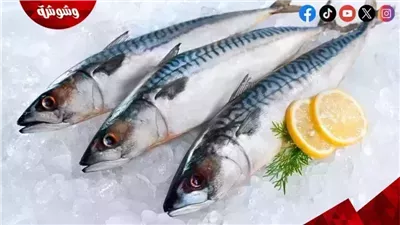 تعرف على أسعار الأسماك فى الأسواق اليوم الثلاثاء