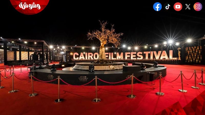 مهرجان القاهرة السينمائي