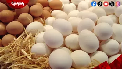 وزارة الزراعة تزف بشرى سارة للمواطنين‎