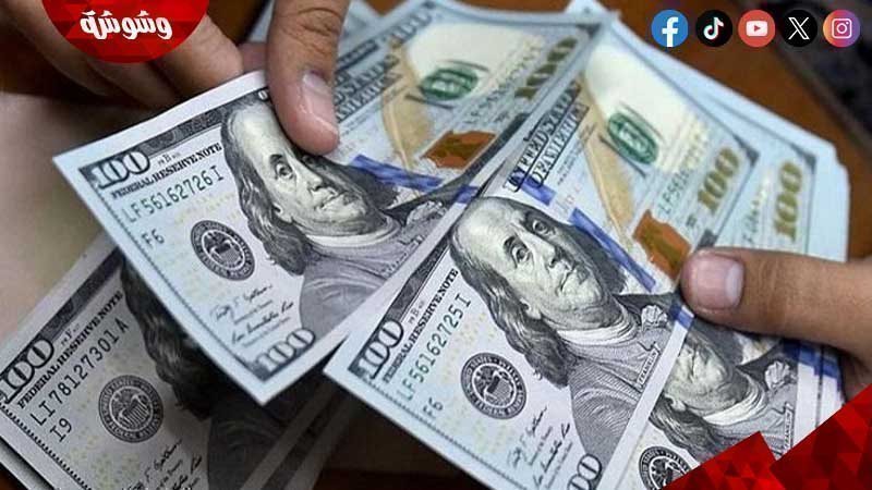 سعر الدولار الامريكي