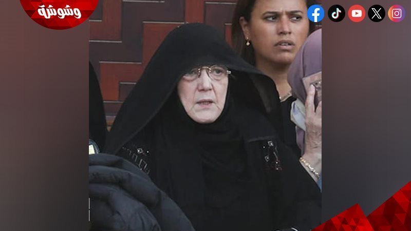 شمس البارودي