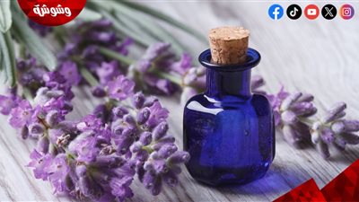 لتهدئة أعصابك.. تعرف على فوائد زيت اللافندر