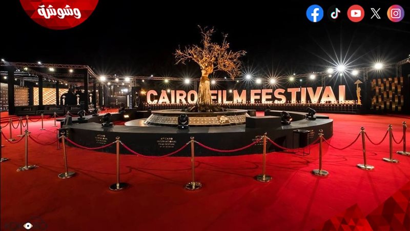 مهرجان القاهرة السينمائي