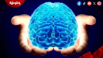 ألعاب الذكاء.. تعرف على سر إطالة حياة الإنسان