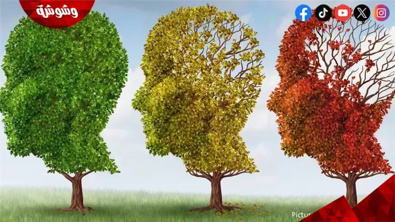 تقلبات نسبة السكر