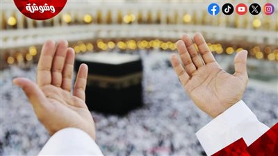 تفاصيل إلزام شركات السياحة بإصدار كود تعريفي لكل حاج
