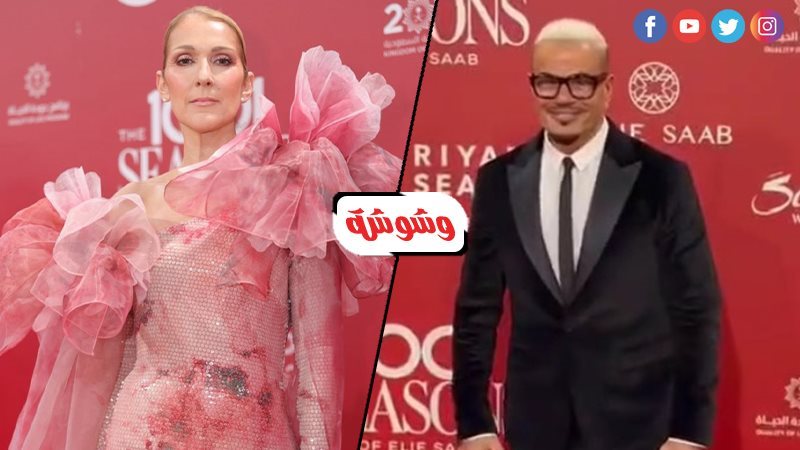 عمرو دياب وسيلين
