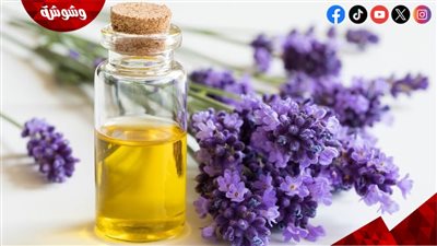 إليك فوائد زيت اللافندر للبشرة