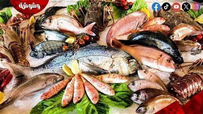 تعرف على أسعار الأسماك فى الأسواق اليوم الخميس