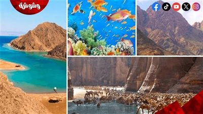 البطوطي: قطاع السياحة في مصر شهد طفرة كبيرة بفضل الدعم المستمر