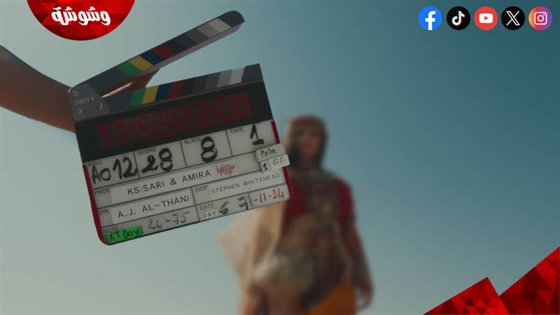 قصة فيلم ساري وأميرة