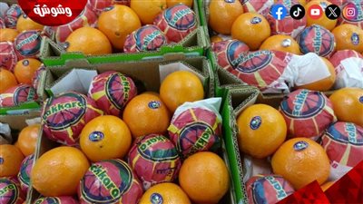 الزراعة: مصر الأولى عالميا في تصدير البرتقال‎