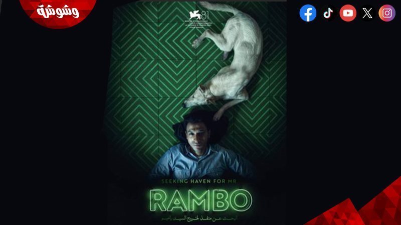فيلم البحث عن منفذ