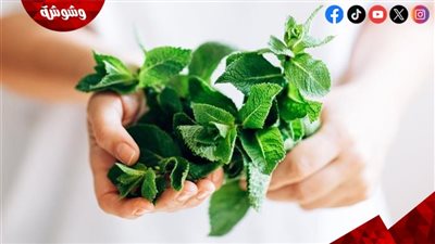 إليك 4 فوائد للنعناع أثناء الدورة الشهرية