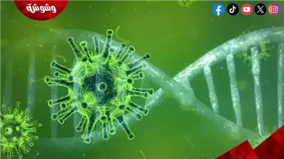 وزارة الصحة: الوضع الصحي الوبائي مستقر تمامًا‎