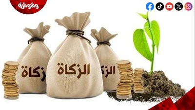 هل تكون زكاة المال نقدًا أم عينًا؟.. أمين الفتوى يجيب‎