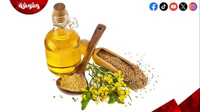 إليك فوائد زيت الخردل للشعر