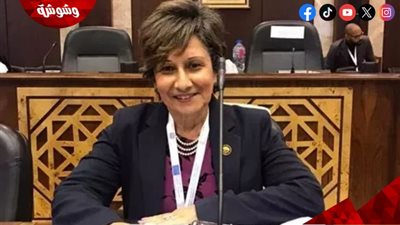 النائبة ندى ألفي: العنف في الحضانات غير مقبول