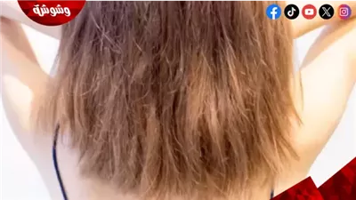 حسب الخبراء.. إليك خطوات فعالة لإصلاح الشعر التالف