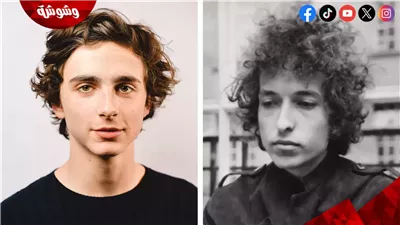 أول تعليق من بوب ديلن عن تيموثي شالامي بعد تجسيده قصة حياته