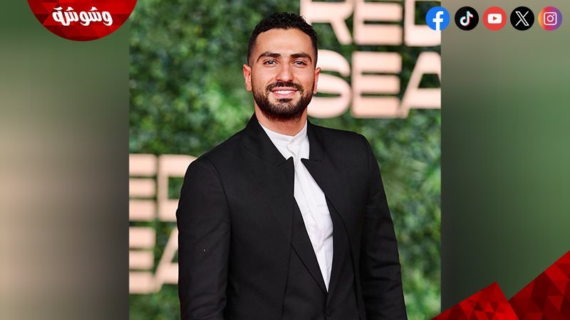 محمد الشرنوبي