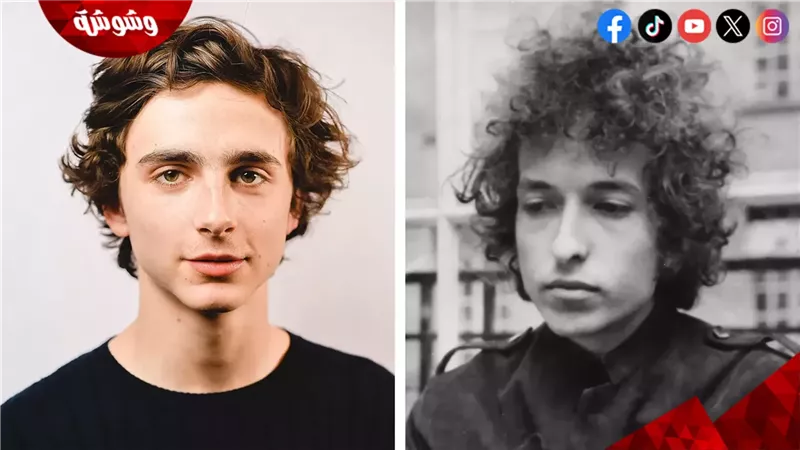 بوب ديلن و تيموثي