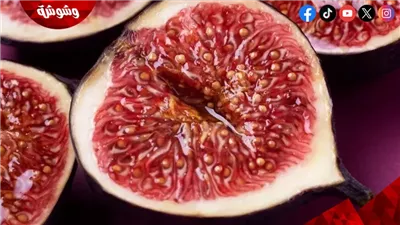 فوائد شرب ماء التين يوميا 