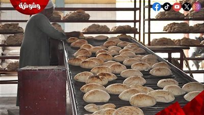 الغرف التجارية: المخابز تعمل بكفاءة والدعم النقدي للخبز تحت الدراسة‎