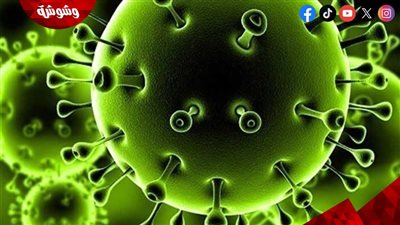 استشاري أمراض الحساسية يكشف عن انتشار أربع فيروسات في الشتاء