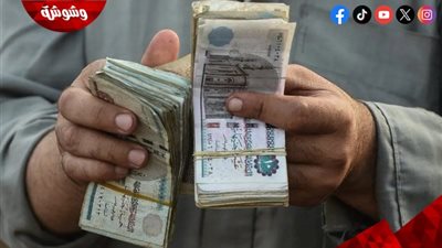 خبير اقتصادي: الدعم المالي يعطي حرية الإنفاق للمواطن‎