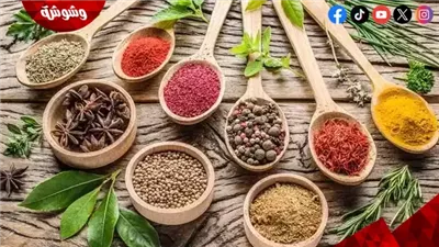 وداعًا للإنفلونزا.. 5 أعشاب طبيعية تُساهم في تقوية المناعة