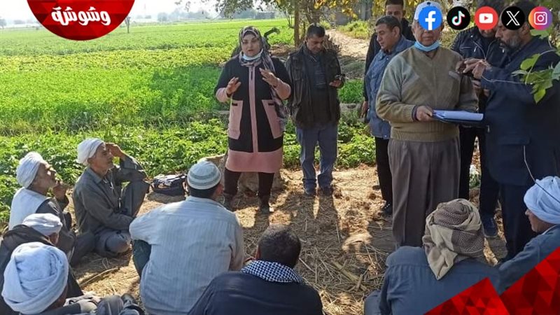 المدارس الحقلية