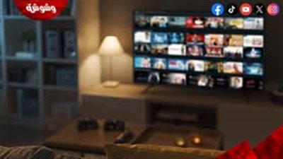  ناقدة فنية: المنصات الرقمية أعادت للدراما رونقها