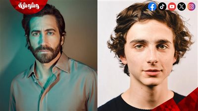 هل يقصد تيموثي شالامي الإساءة والسخرية من جيك جيلنهال بهذه التعليقات؟