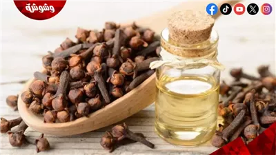 فوائد استخدام ماء القرنفل للشعر