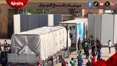 أكثر من 1000 شاحنة مساعدات بمعبر رفح البري تستعد لدخول قطاع غزة