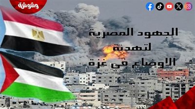 أستاذة علوم سياسية توضح جهود مصر لمساندة فلسطين بعد وقف إطلاق النار‎