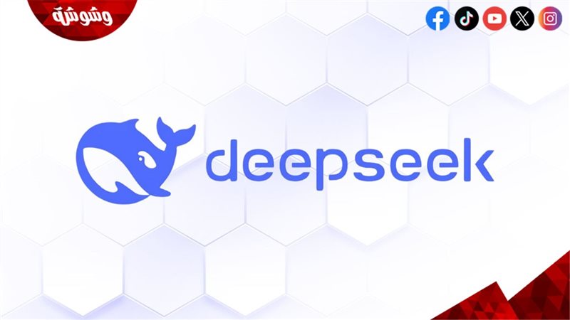 DeepSeek