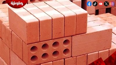 رئيس شعبة الطوب الطفلي: اختلاف المقاسات ومناطق الإنتاج يصعّب تحديد أسعار موحدة 