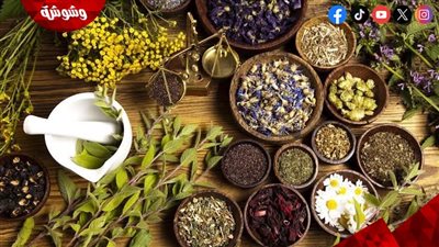 طبيبة تحذر من تناول الأعشاب وتؤكد ضررها بالكلى