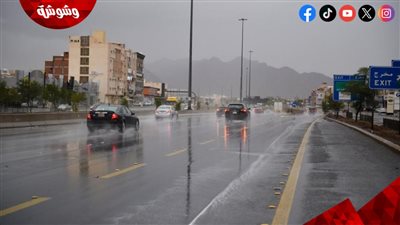 هيئة الأرصاد الجوية توجّه تحذيرات عاجلة بشأن حالة الطقس‎